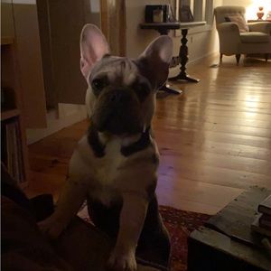 Meet your Posher, Olivia